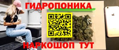 шишки Краснодар